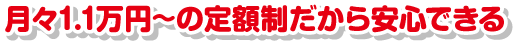 月々1.1万円～の定額制だから安心できる